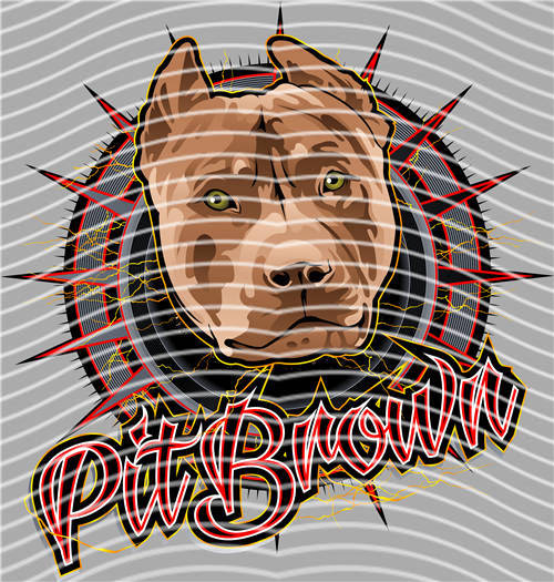 Street design-JT 4902